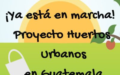 ¡Ya está en marcha!: Proyecto Huertos Urbanos en Guatemala