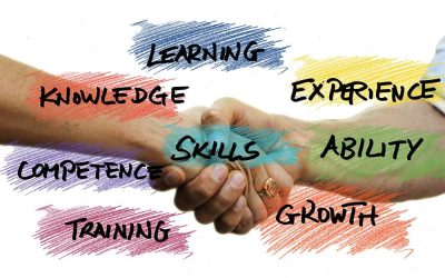 QUÉ SON LAS SOFT SKILLS Y CUÁL ES SU IMPORTANCIA