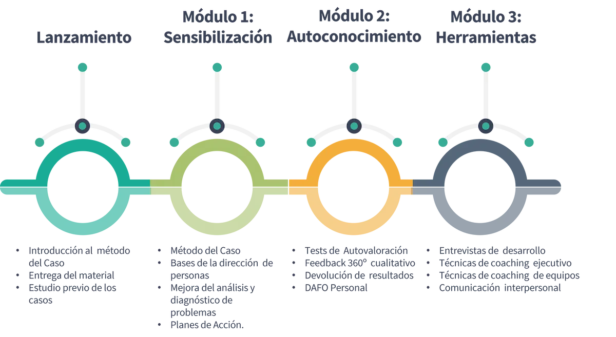 desarrollo de liderazgo esquema